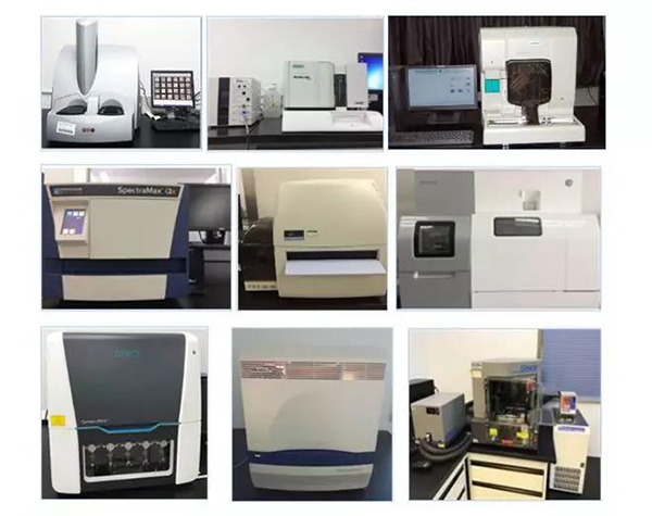 人生就是博生物技术药物分析部门拥有SpectraMaxM4/M5/i3x, MSD, Luminex, Biacore 8K, Envision, Gyrolab，ABI7500 qPCR等全方位多功能的技术平台，利用LIMS系统实施全面的实验室信息化管理，提供全面符合FDA/CFDA/OECD GLP规范要求的生物技术药物分析服务。