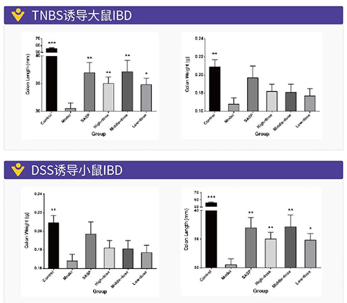 TNBS诱导的大鼠IBD、DSS诱导的大鼠IBD