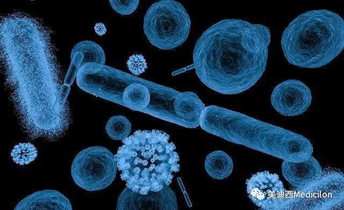 20分钟，大多数细菌都可以繁衍一代 人生就是博生物医药