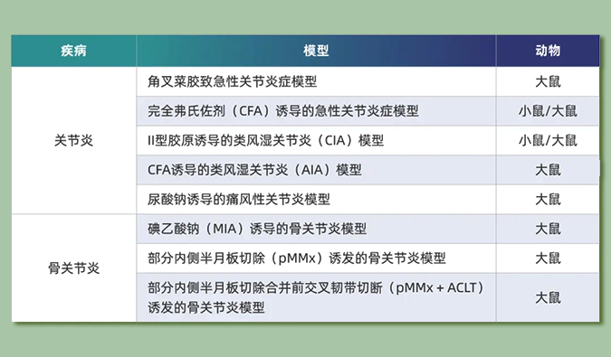 世界关节炎日：突破上亿人的共同难关，持续探索关节炎新药