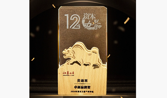 实力出圈！人生就是博荣膺之星“资本力量”2024年度“卓越品牌奖”