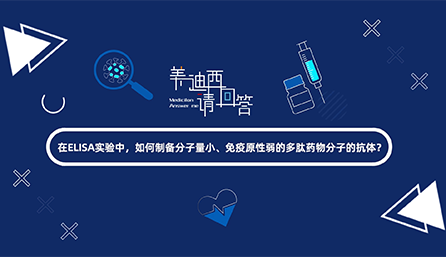 在ELISA实验，如何制备分子量小、免疫原性弱的多肽药物分子的抗体？