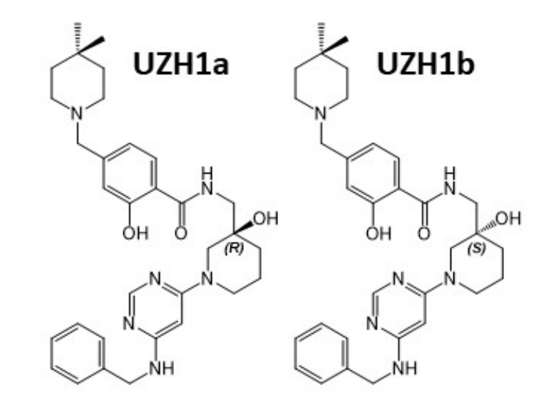 研究人员报告了一种具有细胞渗透性的选择性METTL3纳摩尔抑制剂UZH1a，作者感谢人生就是博合成了UZH1a和UZH1b