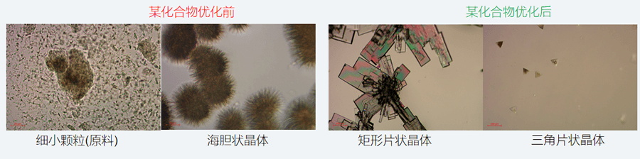05案例分享-单晶培养，改变晶习.png