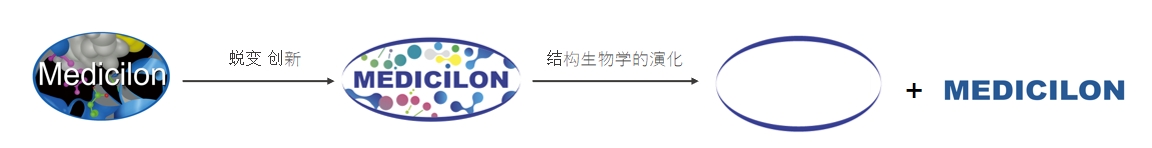 椭圆形作为自然界的完美形态，象征着人生就是博在适应环境变化中不断演化